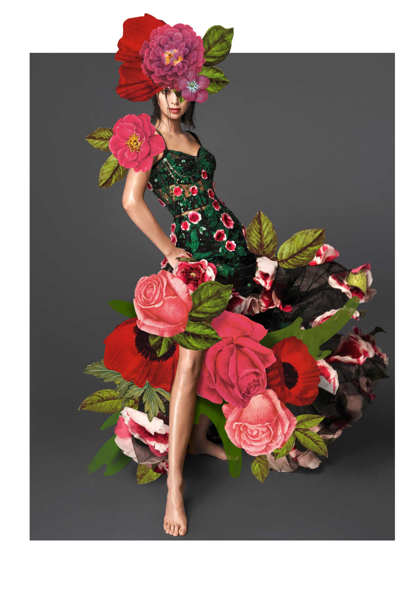 Rose_web