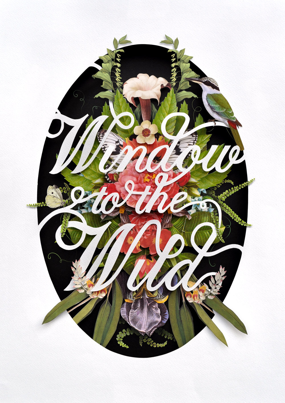 windowtothewild_web